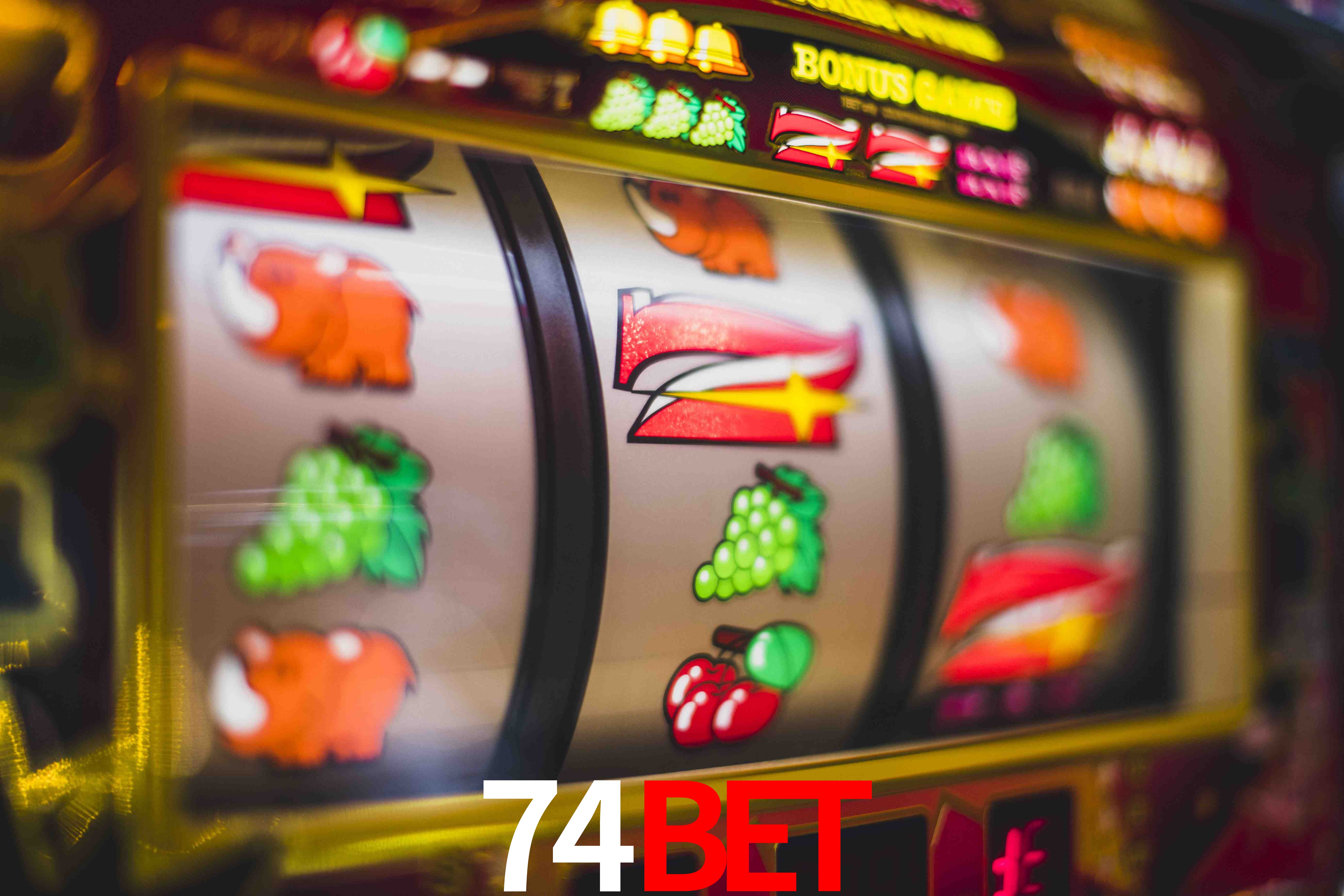 Sports Statistics 74BET